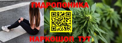 хмурый Тула
