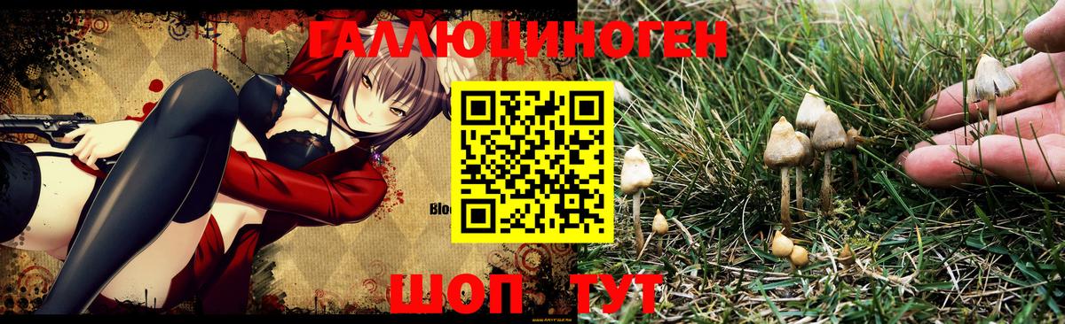 Мирный  Галлюциногенные грибы Psilocybe  Вход с VPN 